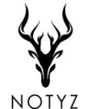 Notyz